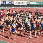 14_jimu